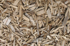 biomass boilers Lisnagunogue